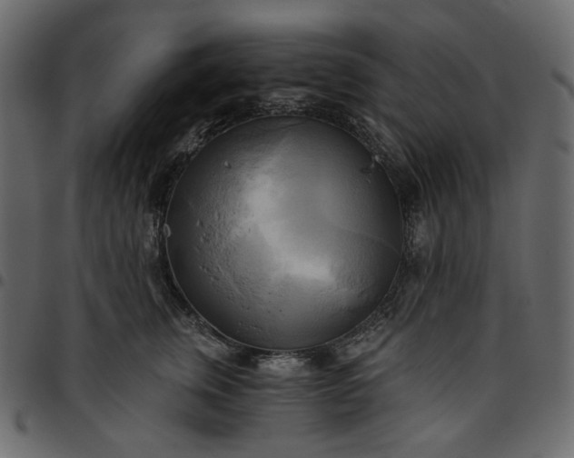 X0000095680759200801221225