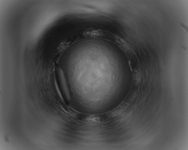 X0000095680760200801221225