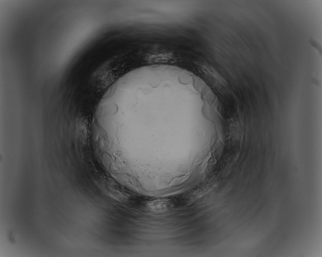 X0000095680761200801221225