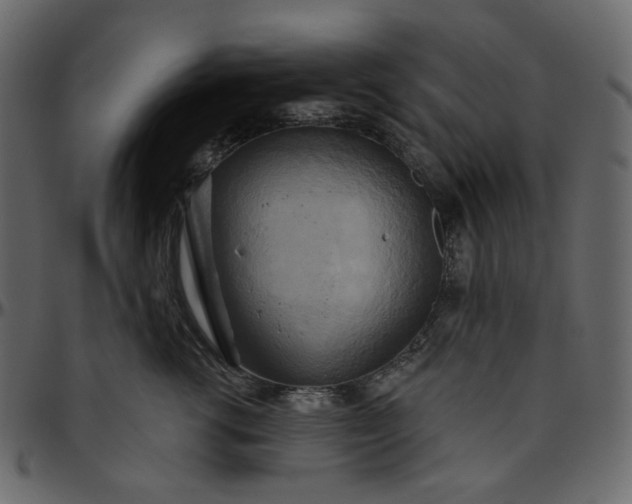 X0000095680762200801221226