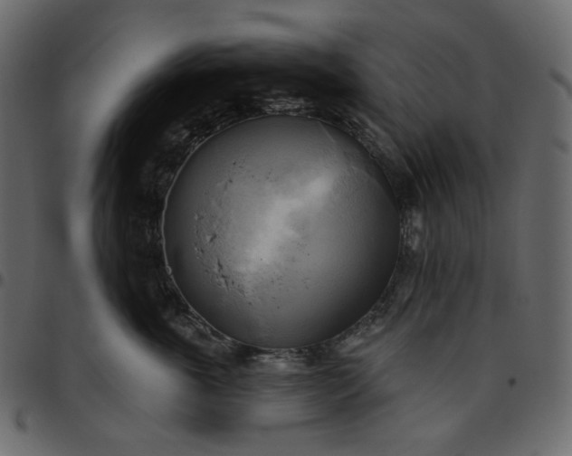 X0000095680763200801221226