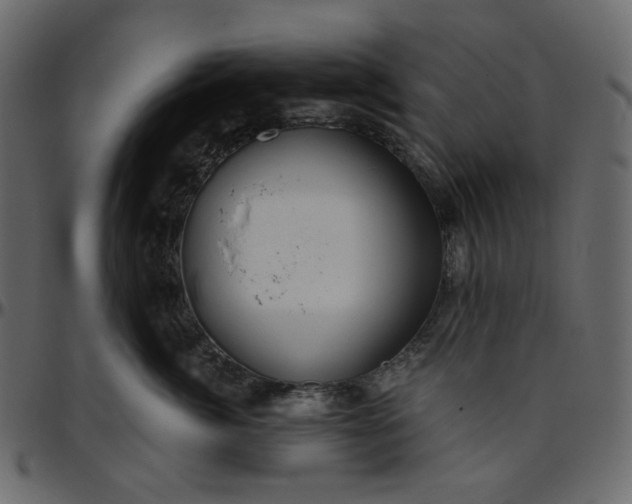 X0000095680764200801221226