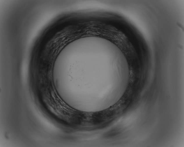 X0000095680765200801221226