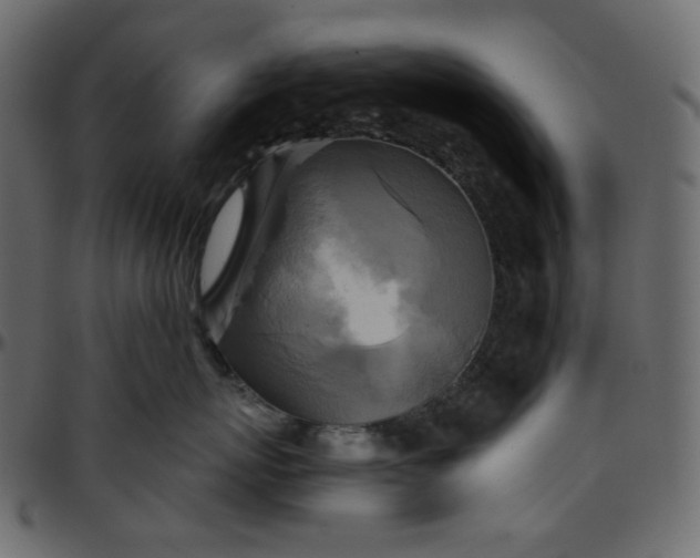 X0000095680767200801221226