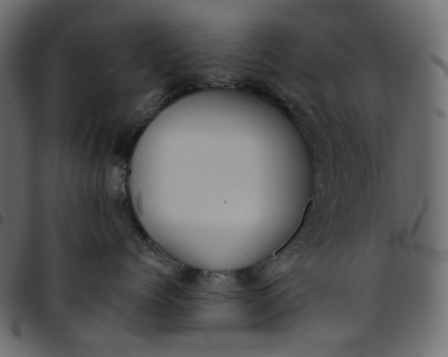 X0000095680768200801221226