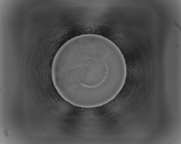 X0000095680769200801221225