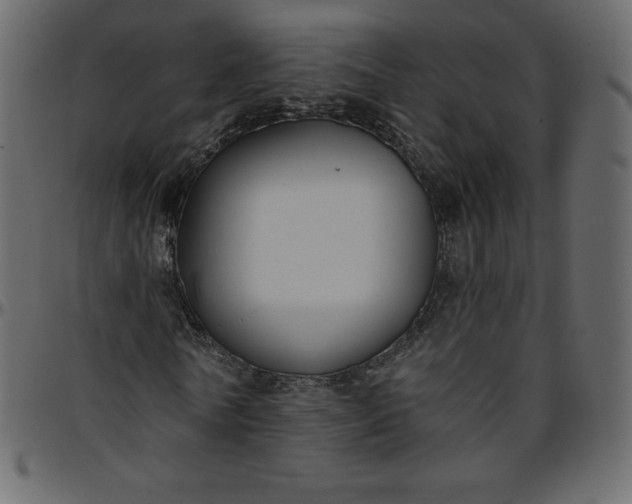 X0000095680770200801221225