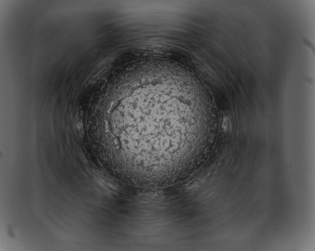 X0000095680771200801221225