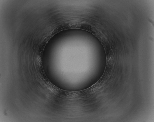 X0000095680772200801221225