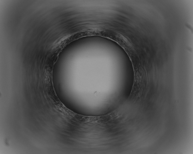 X0000095680773200801221225