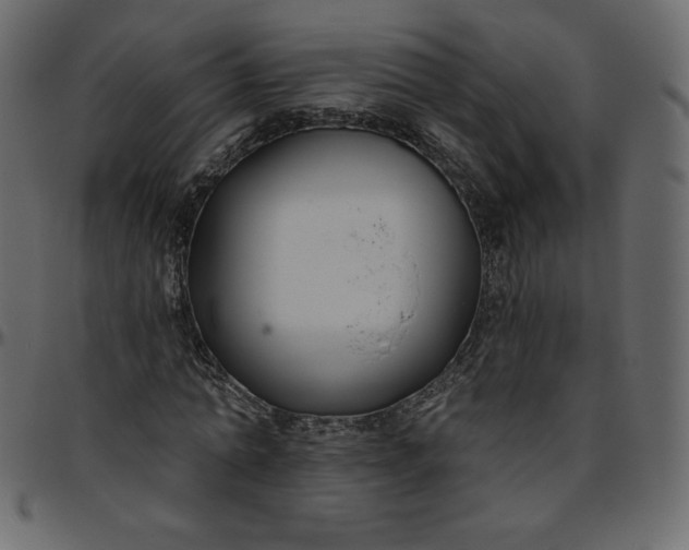 X0000095680774200801221225