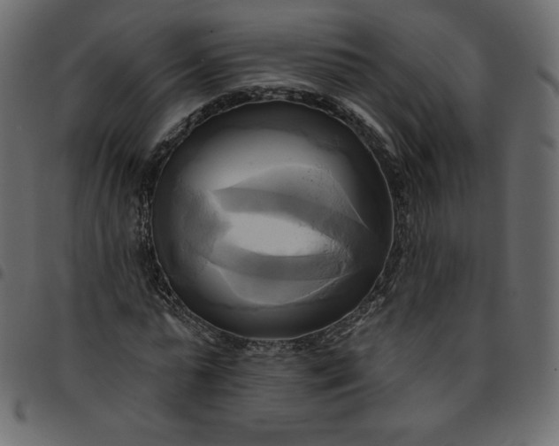 X0000095680775200801221225