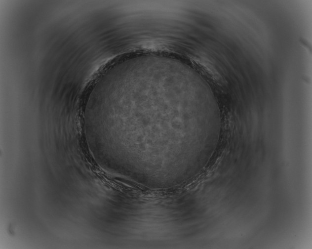 X0000095680776200801221225