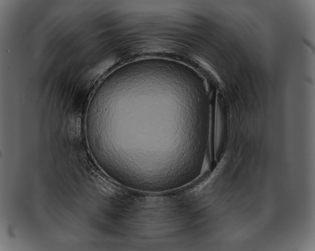 X0000095680777200801221225