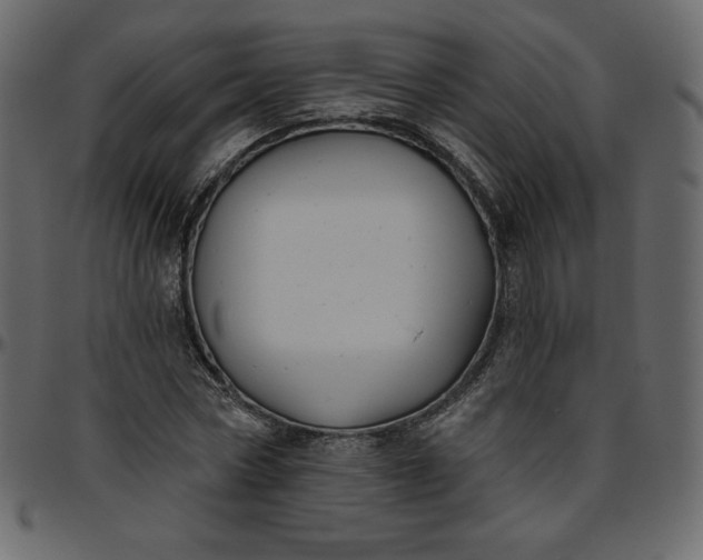 X0000095680778200801221225