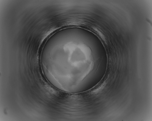 X0000095680779200801221225