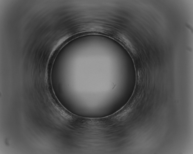 X0000095680780200801221225