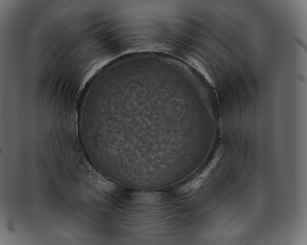 X0000095680781200801221225