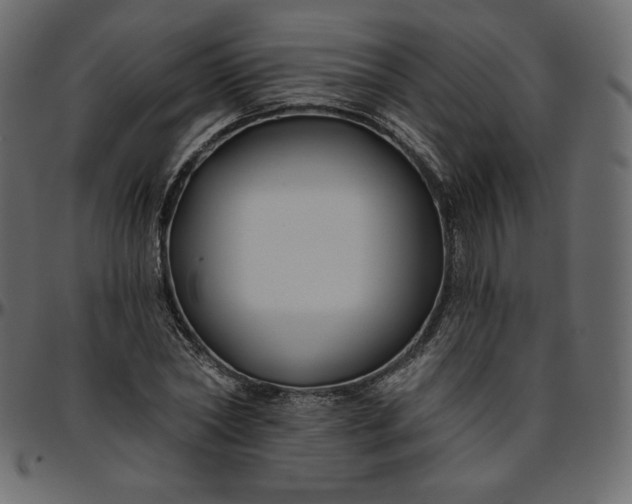 X0000095680782200801221225