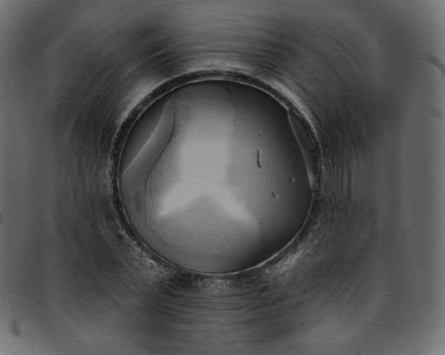 X0000095680783200801221225