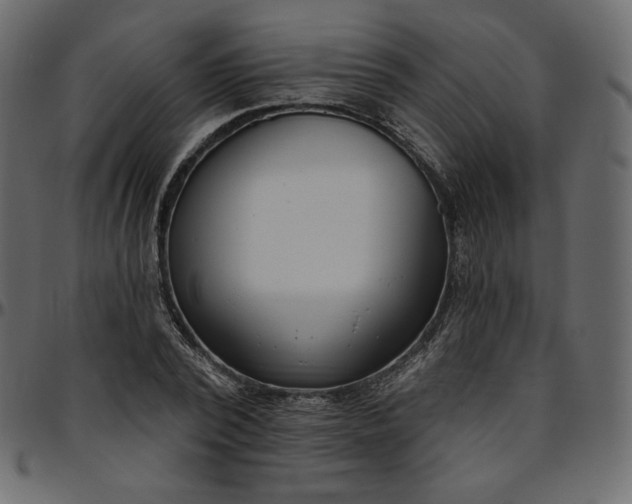 X0000095680784200801221225