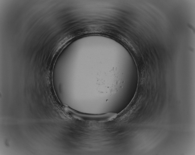 X0000095680786200801221225