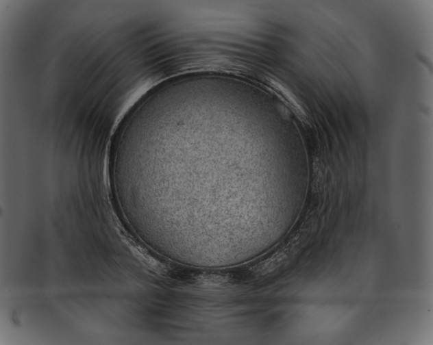 X0000095680788200801221225