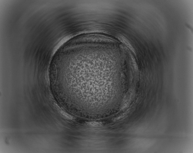 X0000095680789200801221225
