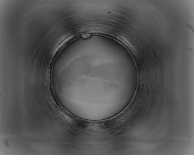 X0000095680790200801221225