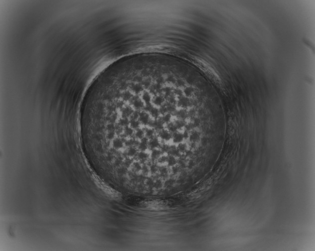 X0000095680792200801221225