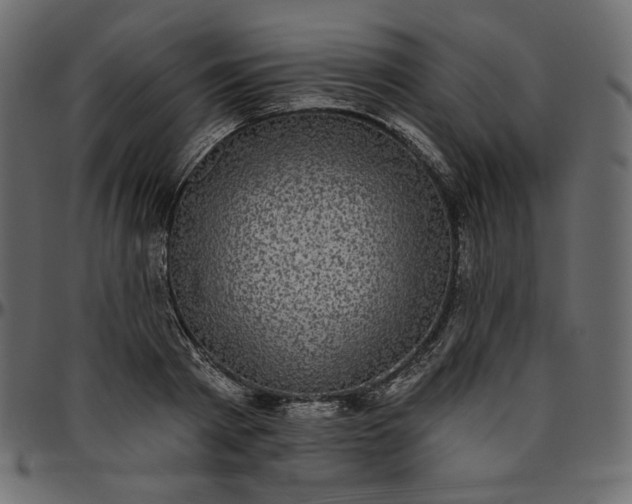 X0000095680793200801221225