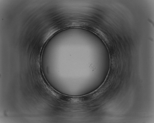 X0000095680794200801221225