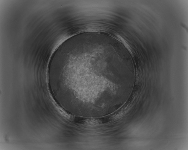 X0000095680795200801221225
