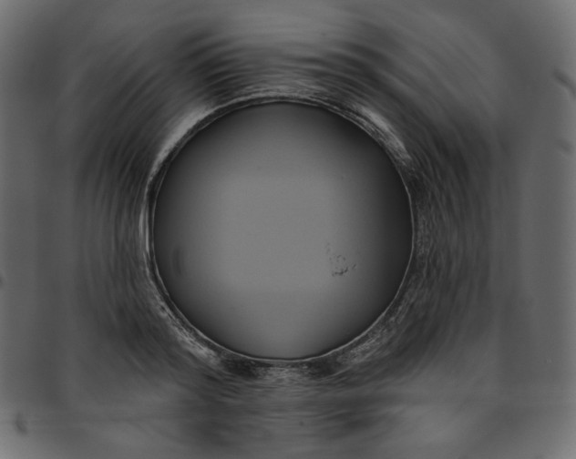 X0000095680796200801221225