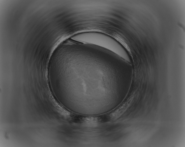 X0000095680797200801221225