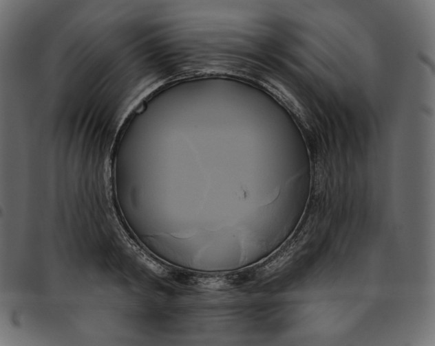 X0000095680798200801221225