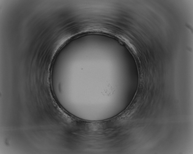 X0000095680799200801221225