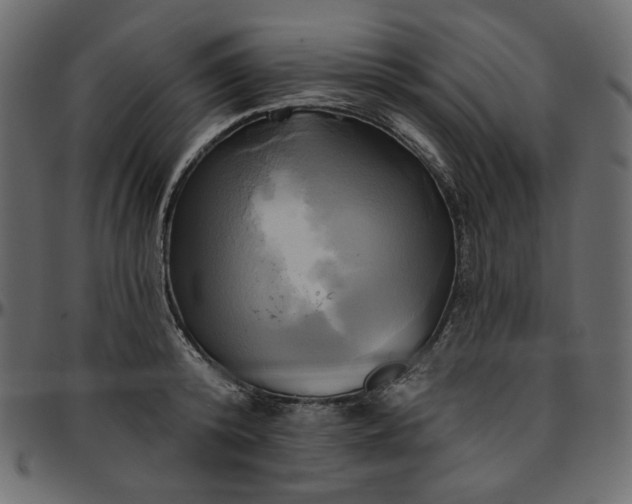 X0000095680800200801221225