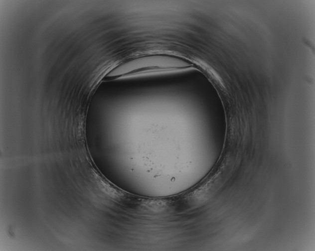 X0000095680801200801221224