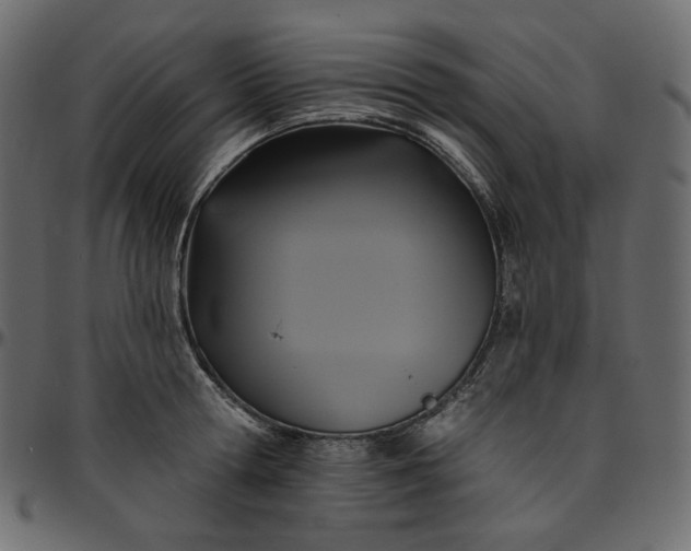 X0000095680802200801221224