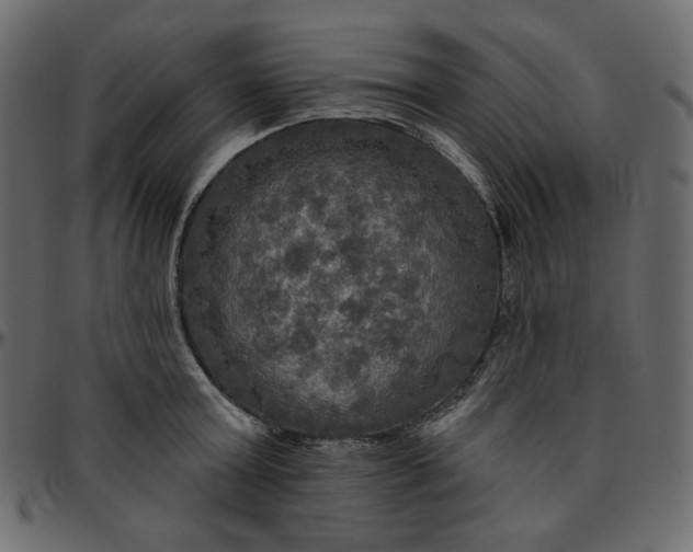 X0000095680803200801221224
