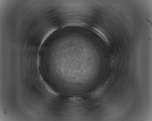 X0000095680804200801221224