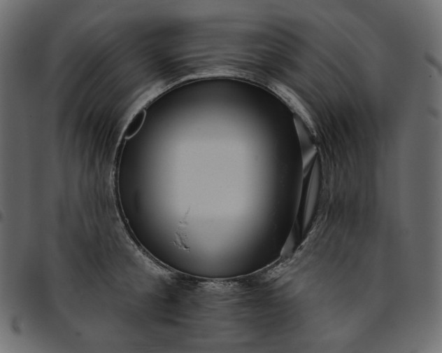 X0000095680805200801221224
