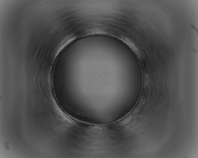 X0000095680806200801221224