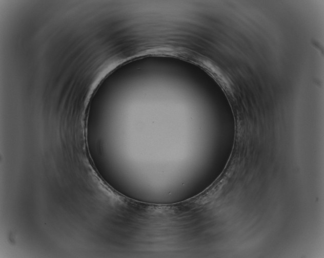 X0000095680808200801221224