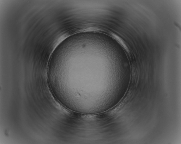 X0000095680810200801221224