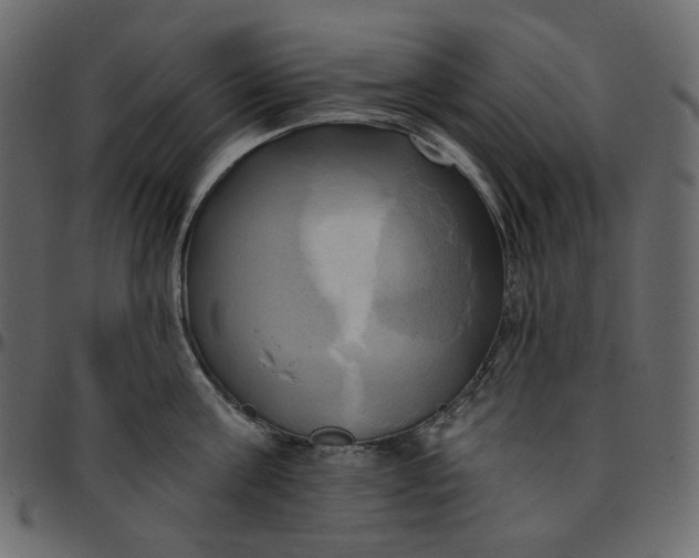 X0000095680811200801221224