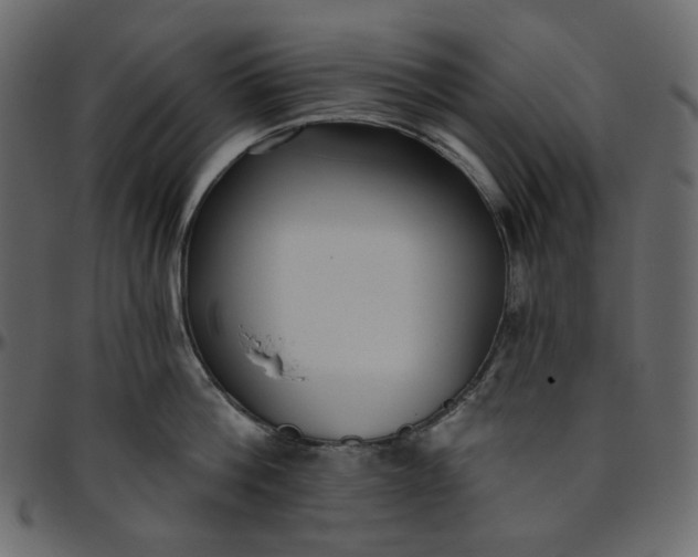 X0000095680812200801221224