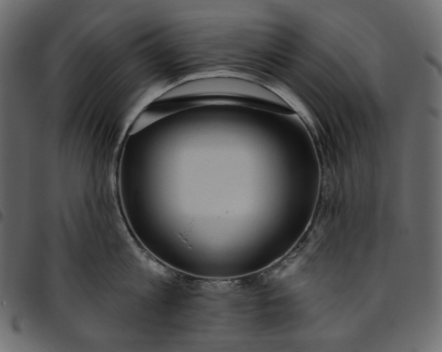 X0000095680813200801221224