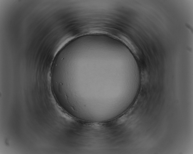 X0000095680814200801221224